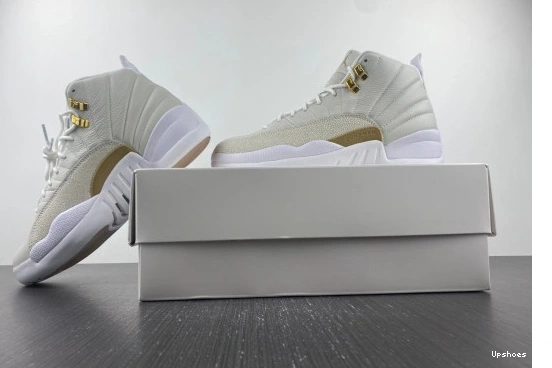 Jordan 873864-102 White Retro 873864-102 OVO 12 0619